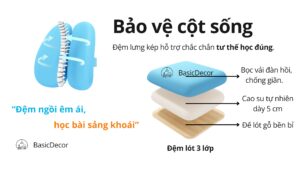 Kết cấu và tính năng